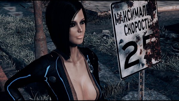 Не превышать! )) Fallout-4 (Сборка 8.5)