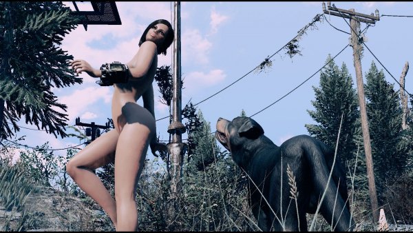Пёсель! Мух отгоняй! )) Fallout-4 (Сборка 8.5)
