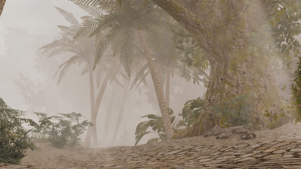Туманные ПЕЙЗАЖИ.. Skyrim SE (Тропики 7.0)