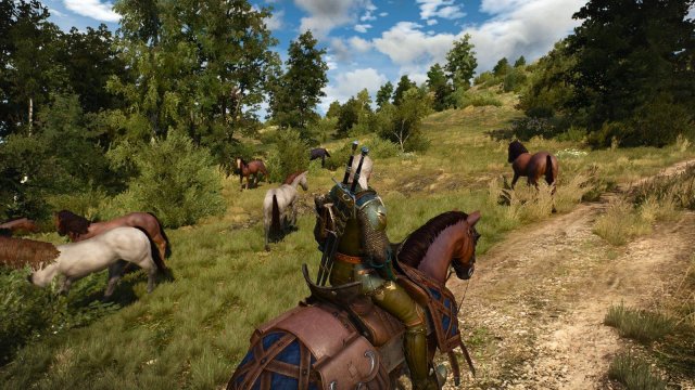 witcher3 2022-04-21 21-12-22-16.jpg