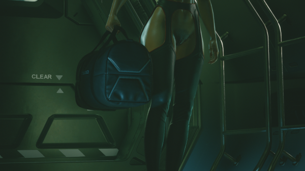 "Супер топлес Ви" перед  возвращением на Землю - 2.