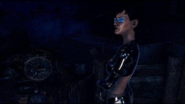 Охранница на посту.. Poselenia Windfire Fallout-4