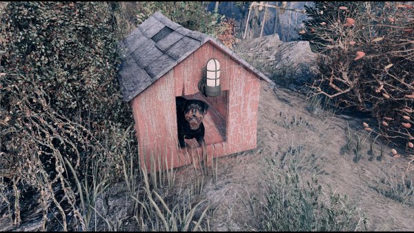 Дом в новом месте у песеля.. Fallout-4 (Сборка 8.5)