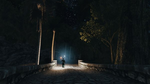 Ночная дорога.. Skyrim SE (Тропики 7.0)