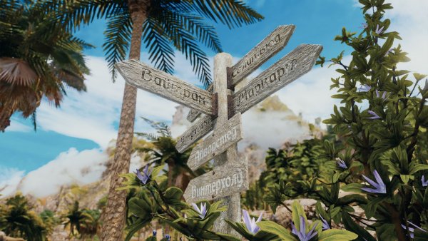 На заднем фоне - Высокий Хродгар.. Skyrim SE (Тропики 7.0)