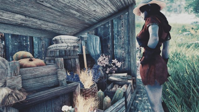 SkyrimSE 2023-11-18 14-14-42-75.jpg