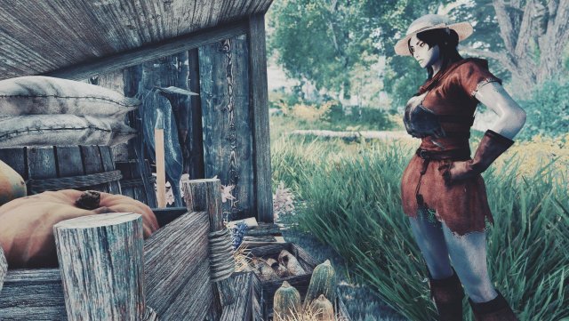 SkyrimSE 2023-11-18 14-14-51-02.jpg