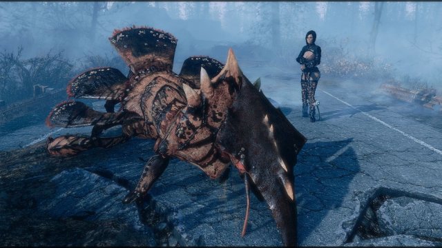 Photo1114 туманник.jpg