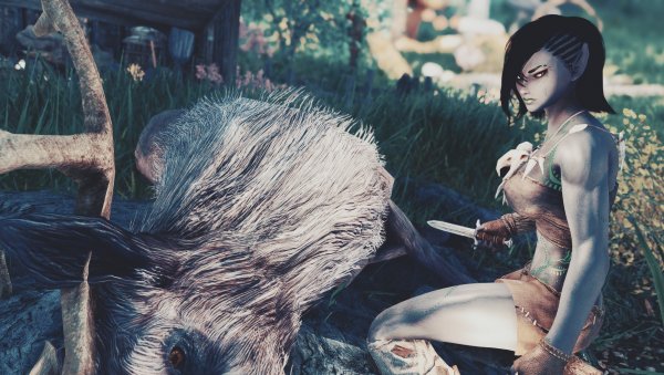 SkyrimAE 2023-11-18 13-32-53-23