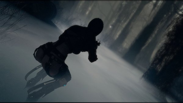 В туманном лесу.. Fallout-4 (Сборка 9.0)