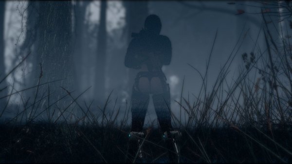 Туманный лес.. Fallout-4 (Сборка 9.0)