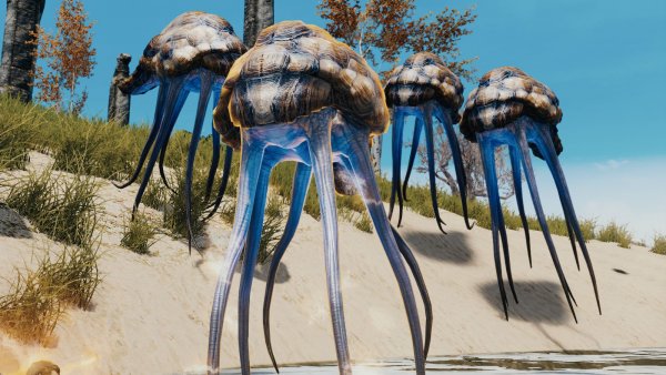 Стая нетчей.  Skyrim SE (Тропики 7.0)