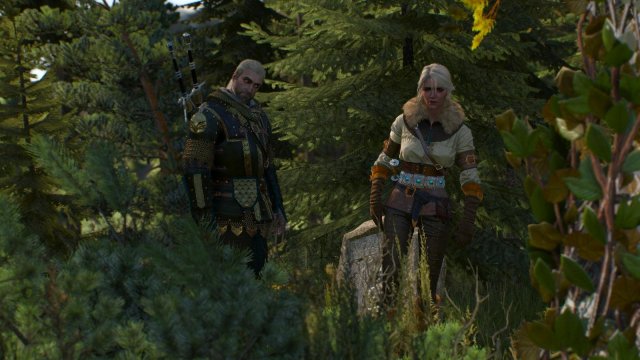 witcher3 2022-01-21 20-45-39-64.jpg