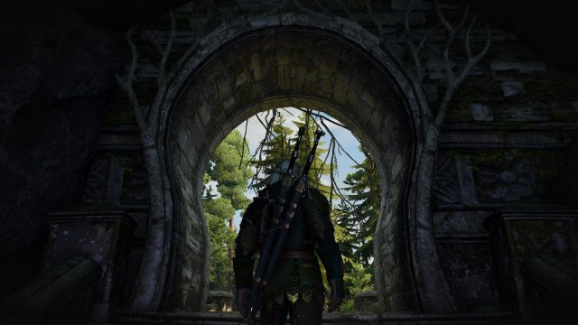 witcher3 2022-01-21 21-33-53-15.jpg