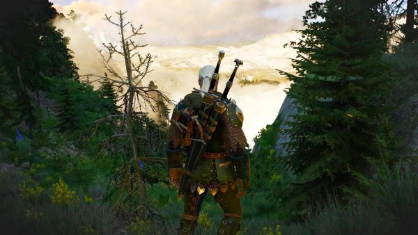 ПЕЙЗАЖНОЕ с Геральтом и другими.. Ведьмак III