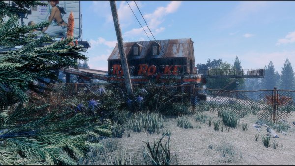 За еловыми лапами.. Poselenia Windfire Fallout-4