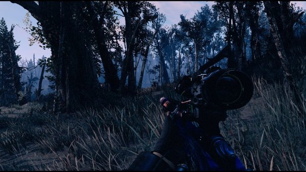 Сумеречный пролесок.. Fallout-4 (Сборка 9.0)