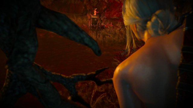 witcher3 2022-01-20 00-29-12-02.jpg