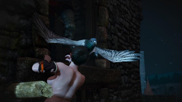 witcher3 2022-04-21 20-17-10-80.jpg