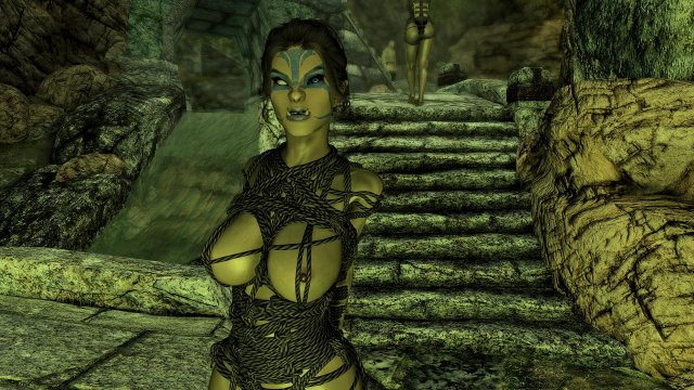 SkyrimSE 2024-01-17 02-18-24-25.jpg