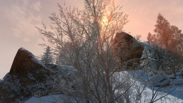 The Elder Scrolls V  Skyrim Special Edition Screenshot 2024.01.09 - 09.03.07.62.jpg