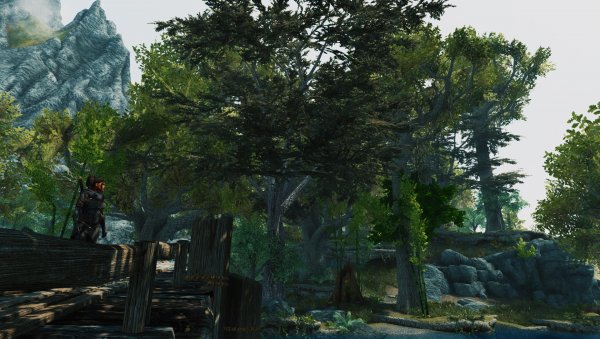 SkyrimAE 2024.01.22 - 19.08.56.14