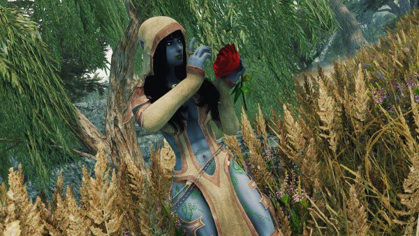 SkyrimAE 2024.01.15 - 14.47.58.07