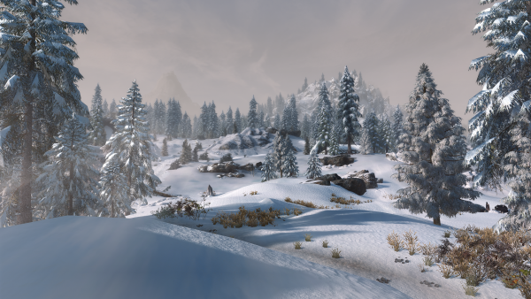 The Elder Scrolls V  Skyrim Special Edition Screenshot 2024.01.09 - 09.00.20.60.png