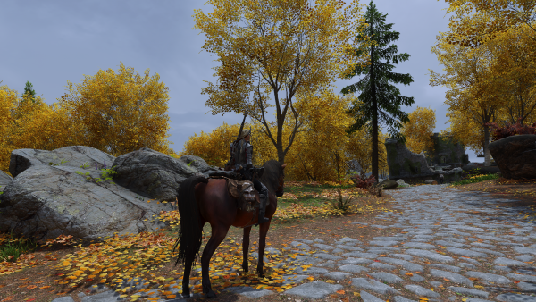 Skyrim Special Edition 24.01.2024 11_58_06