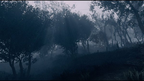 ТУМАНЫ.. Fallout-4 (Сборка 9.0)