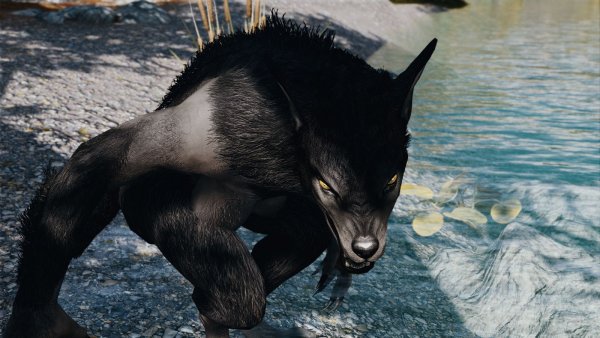 Вервольф.. Sexrim AE (Тропики 12)