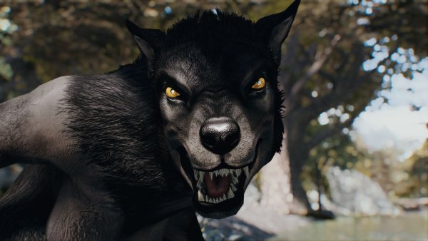 Симпатага! )) Sexrim AE (Тропики 12)