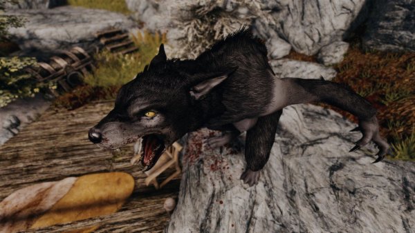 Когда в женщине разбудили зверя )))