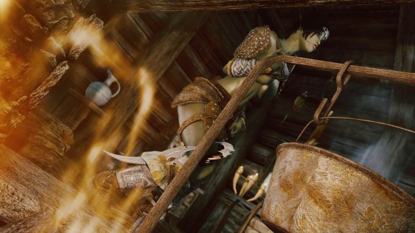 Мирроя греется у огня.. Sexrim AE (Тропики 12)