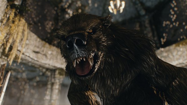 Медведь-оборотень. Sexrim AE (Тропики 12)