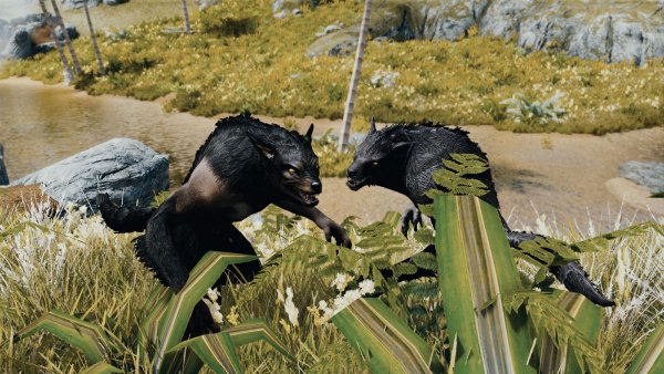 Встреча братьев по крови..