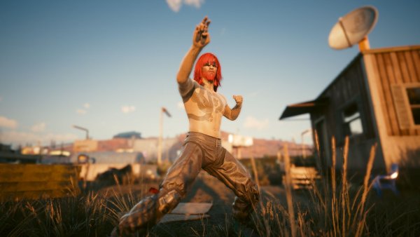 Утреннее кунг-фу.. Cyberpunk 2077 глазами Windfire