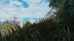 ПЕЙЗАЖИ.. Skyrim AE (Тропики 12)