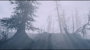 Туманно на Ф.Харборе.. Fallout-4 (Сборка 9.0)