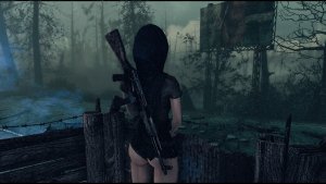 Паселенка на охранном посту.. Poselenia Windfire Fallout-4