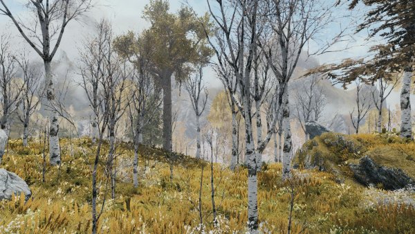 Осень в Скайрим - красива по-своему.