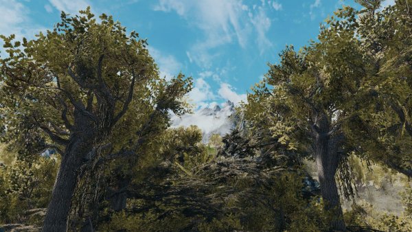 ПЕЙЗАЖИ с высока.. Sexrim AE (Тропики 12)