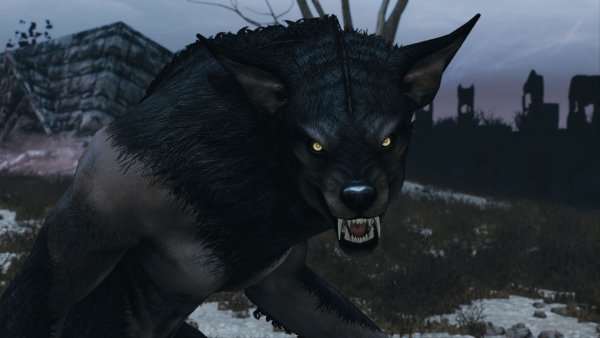 Рауф в форме зверя в Каирне.. Sexrim AE (Тропики 12)