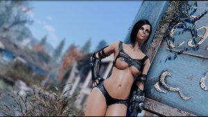 НОРА у щита Сэнкчуари.. Fallout-4 (Сборка 9.0)