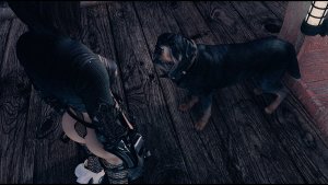 Нора и псина.. Fallout-4 (Сборка 9.0)