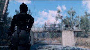 С проверкой в поселение.. Fallout-4 (Сборка 9.0)