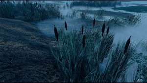 Рогоз.. Fallout-4 (Сборка 9.0)