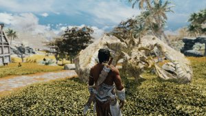 Дюрневир в Скайрим.. Skyrim AE (Тропики 12)