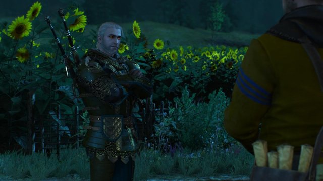 witcher3 2022-02-12 22-12-59-35.jpg