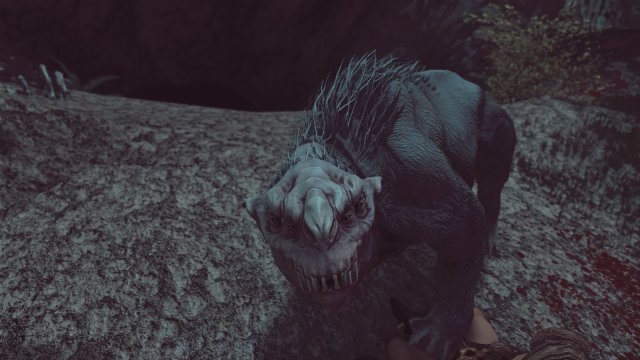 enb2024_5_20_23_32_27 ВЕЛЬВА.jpg